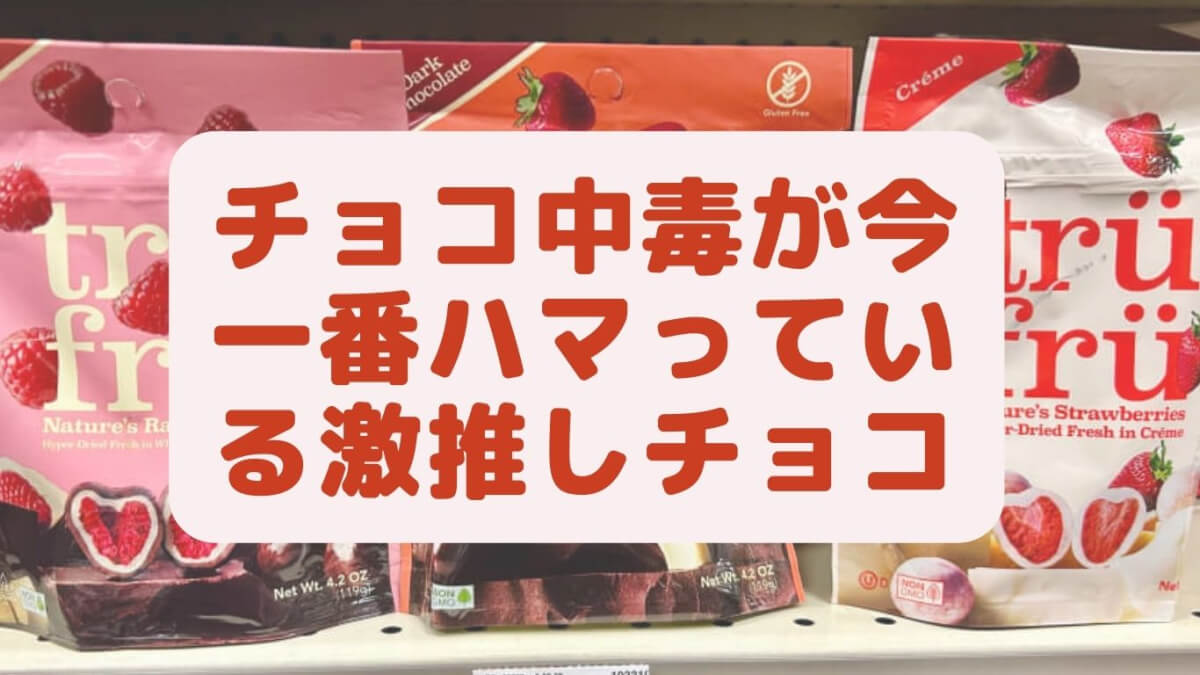 アメリカで一番のお気に入りお菓子】新感覚！丸ごとフルーツ